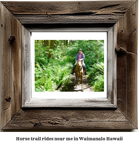 horse trail rides near me in Waimanalo, Hawaii